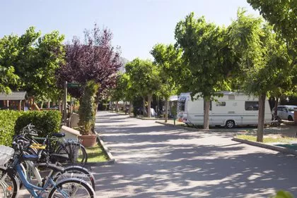 fotonoticia_20210804120144_420