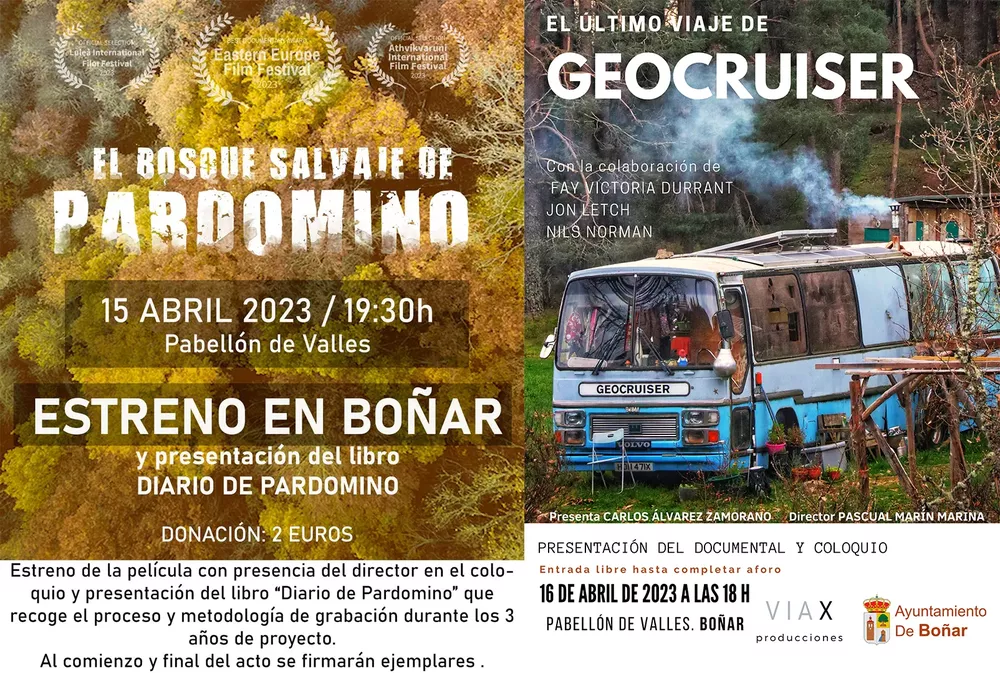 cine en Boñar