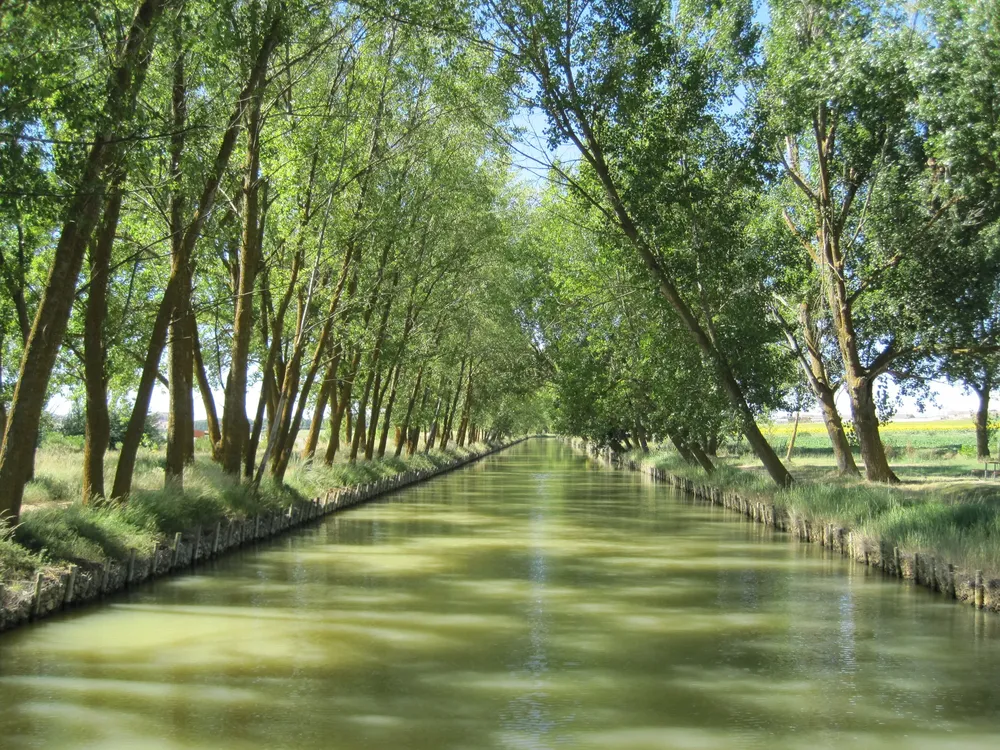 Canal_de_Castilla