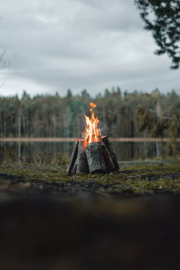 pexels-gantas-vaičiulėnas-4323815