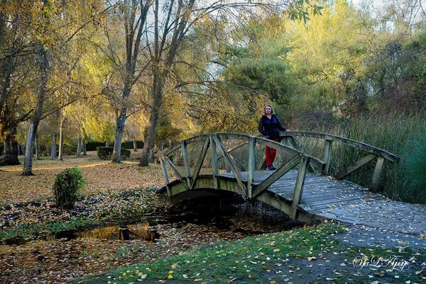 PARQUE DE LA CANDAMIA