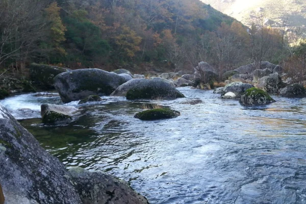 AGUAS