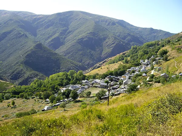 ODOLLO