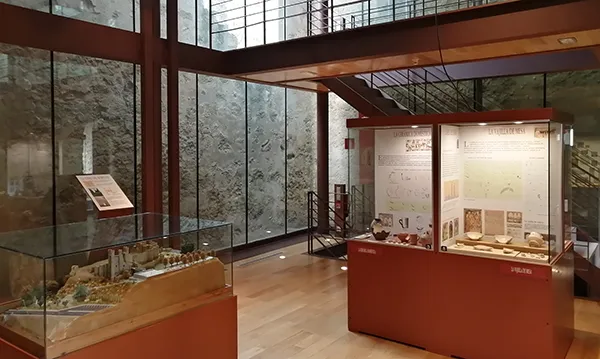 MUSEO DEL CASTILLO DE VALENCIA DE DON JUAN