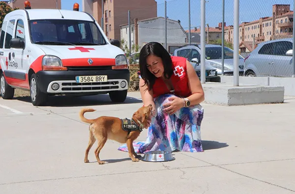 CAMPAÑA CONTRA EL CALOR CRUZ ROJA DE LEON
