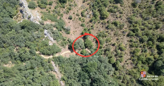 RESCATADO UN CICLISTA EN LA POLA DE GORDON