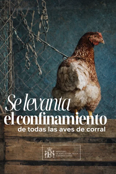 Se levanta el confinamiento avícola (1)