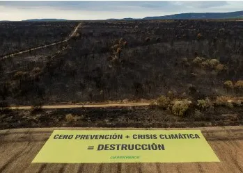 GREENPEACE