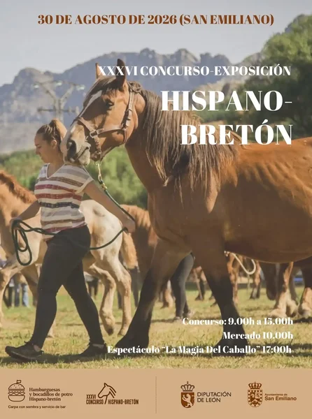 XXXVI-Concurso-Exposición-Hispano-Bretón