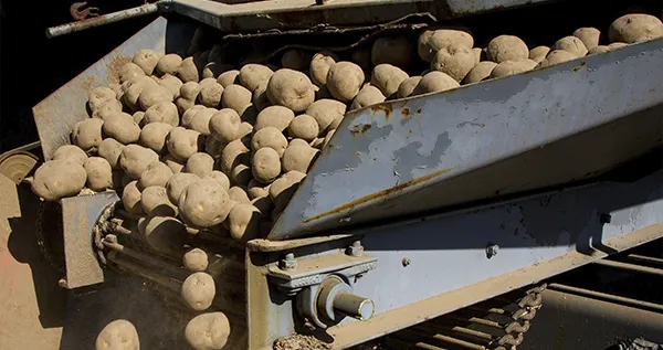 PATATAS