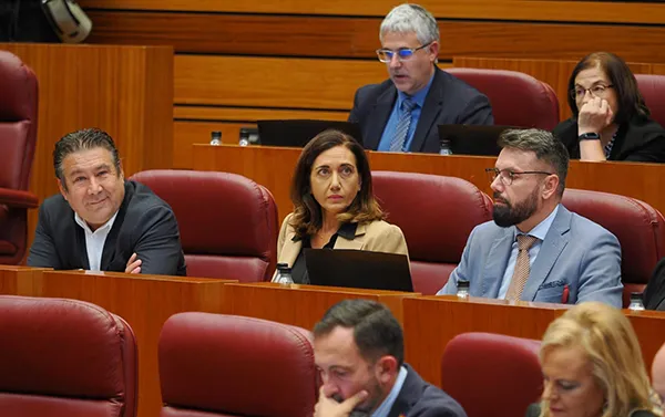 PROCURADORES DE UPL EN EL PARLAMENTO DE CYL