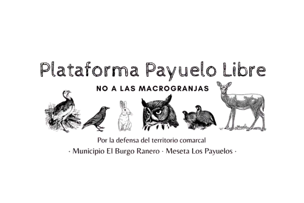 plataforma Payuelo Libre