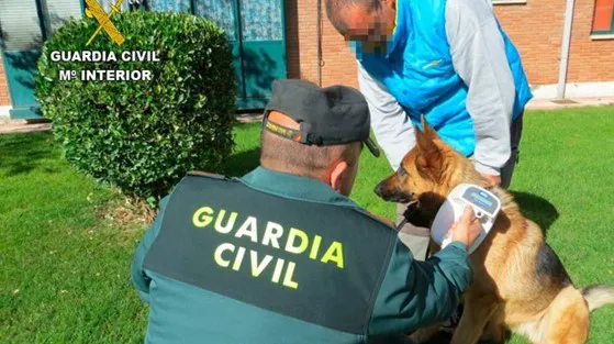 IDENTIFICACION DE UN CAN POR LA GUARDIA CIVIL
