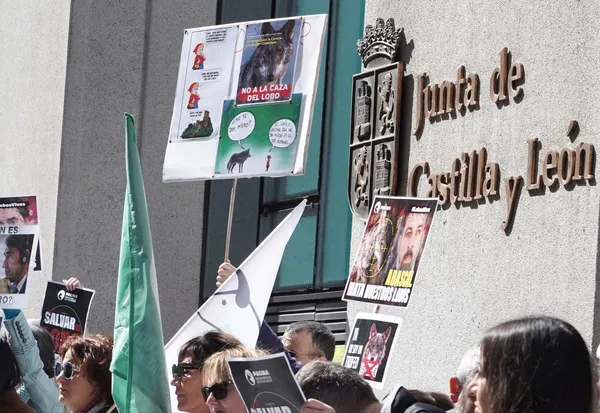 PACMA CONTRA LA CAZA DEL LOBO