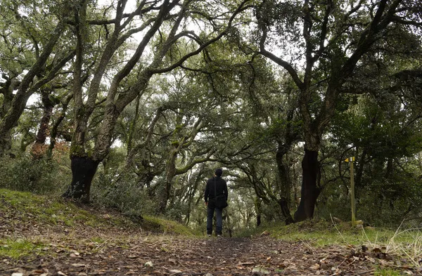 EL ZOFRERAL DE COBRANA