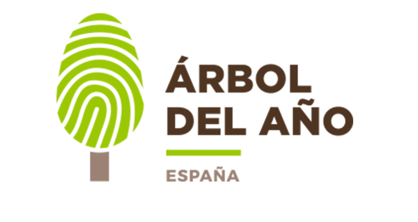 BOSQUE DEL AÑO EN ESPAÑA