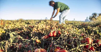 AGRICULTORES