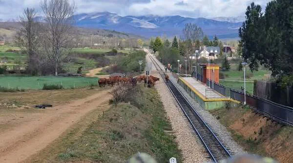 PLATAFORMA EN DEFENSA DE LA FEVE (1)