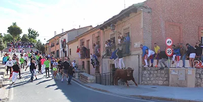El Toro de la Vega en Tordesillas - AYUNTAMIENTO DE TORDESILLAS