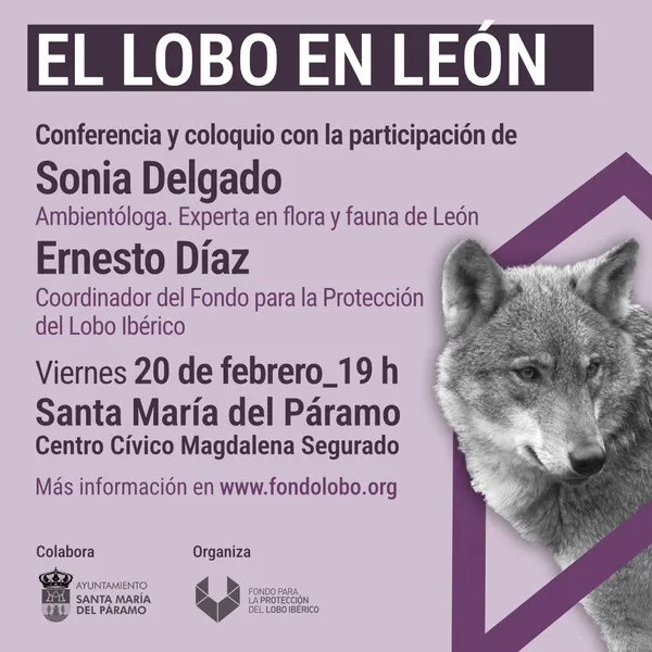 Cartel Charla Lobo 20-02-26