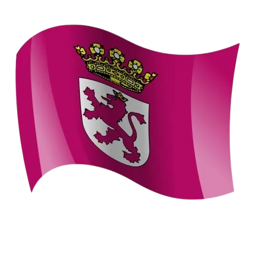 BANDERA LEON