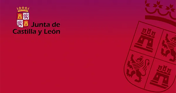 JUNTA DE CASTILLA Y LEON