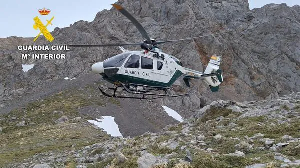 HELICOPTERO GREIM SABERO