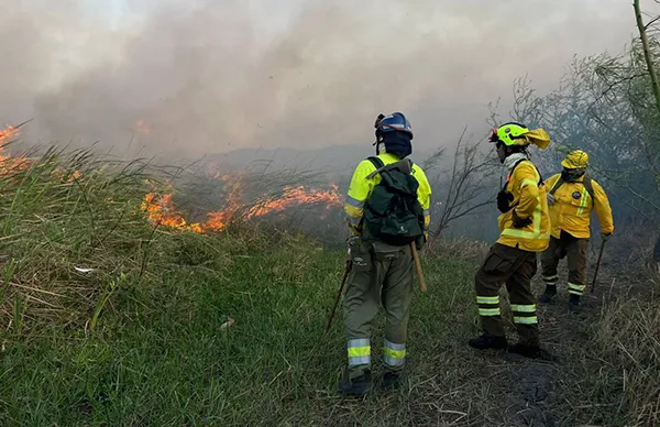 BOMBEROS FORESTALES