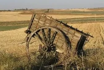 EMPLEO RURAL
