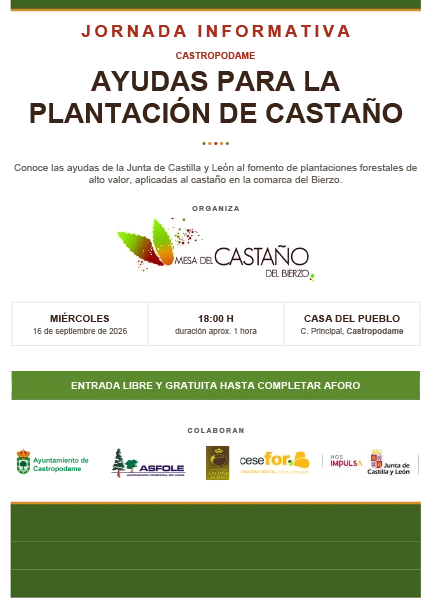 cartel_jornada_Castropodame