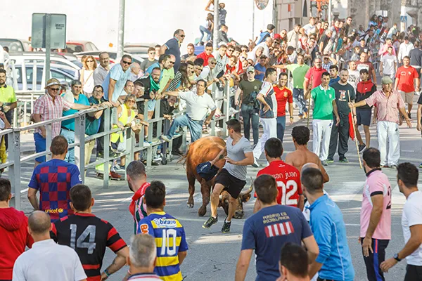 ENCIERRO EN CUELLAR - SEGOVIA