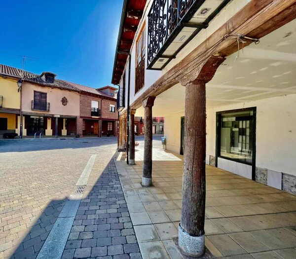 PLAZA DEL GRANO - TURISMO DE LEON