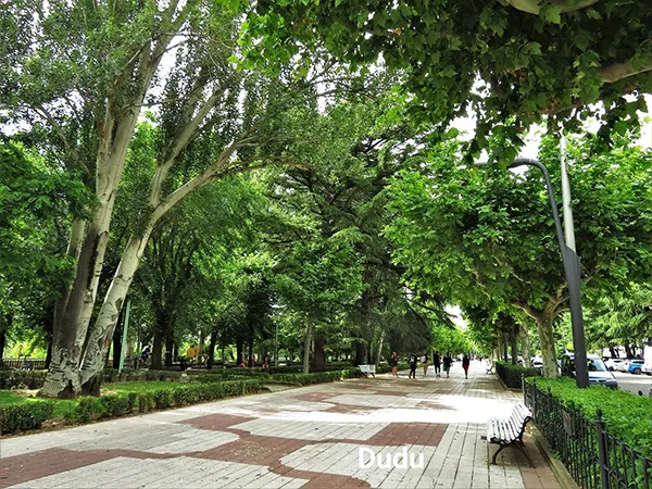 PASEO PAPALAGUINDA