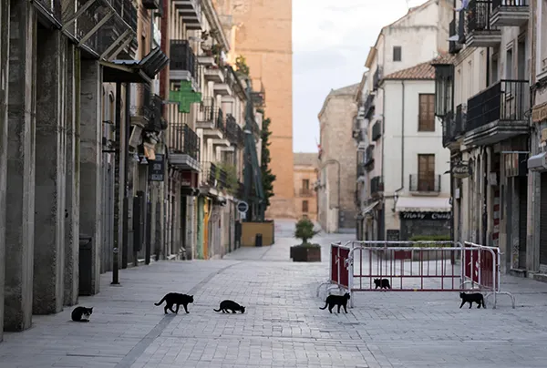 GATOS