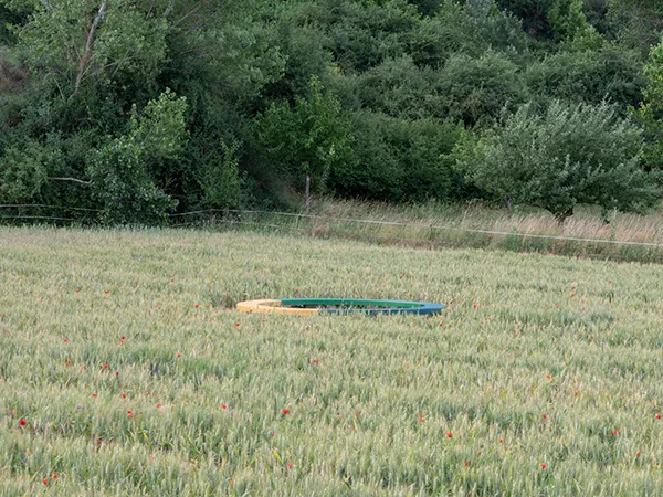 conector - campo de trigo-  tercer maestro 4