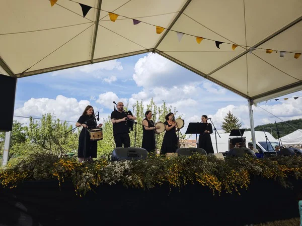Festivales_Asociaciones_1 (1)