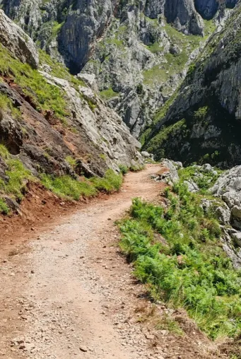 RUTA DEL CARES