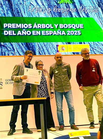 PREMIO BOSQUE DEL AÑO EN ESPAÑA 2025