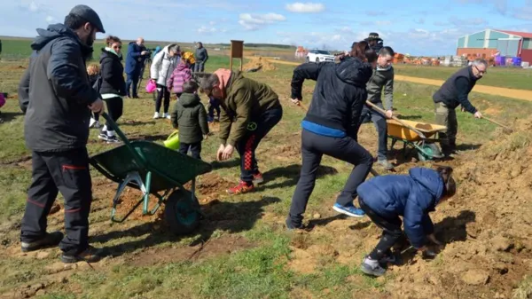 PANTACION DE 120 ROBLES EN CALZADILLA DE LOS HERMANILLOS