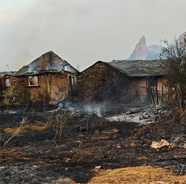 INCENDIO FORESTAL EN EL BIERZO