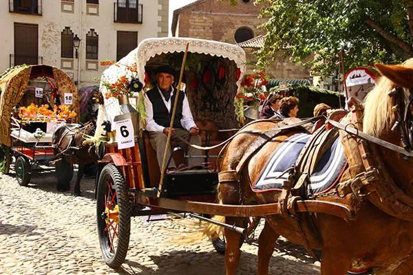 CARRO EN SAN FROILAN