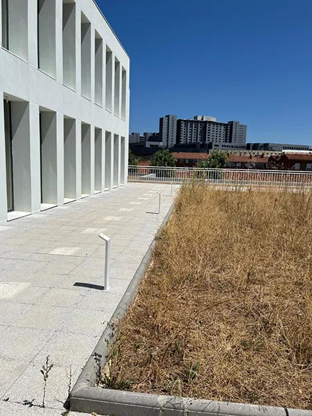 CENTRO CIVICO DE LA INMACULADA