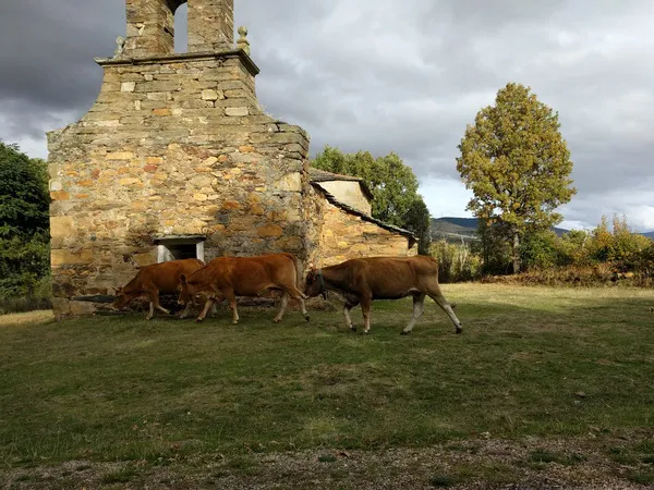 Ermita_de_San_Roque_de_Valdavido