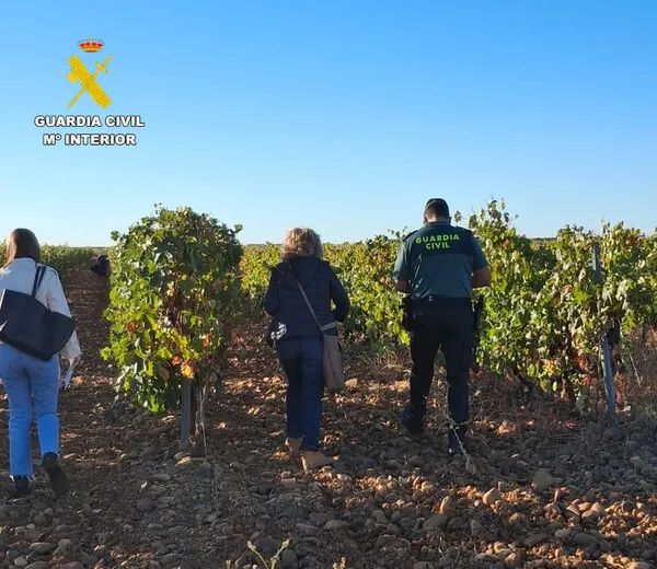 inspección GC e Inspección de Trabajo