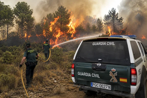 INCENDIOS FORESTALES