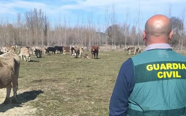 DOS INVESTIGADOS EN UNA EXPLOTACION GANADERA DE SARIEGOS