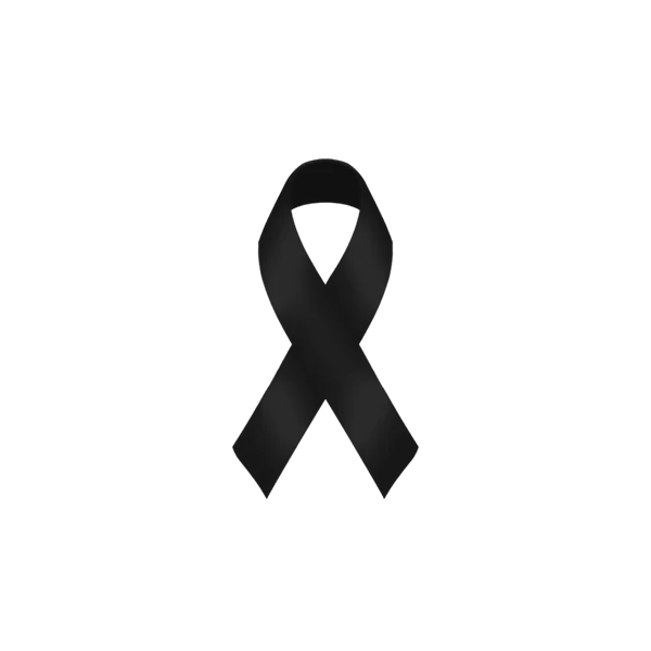 LAZO NEGRO2