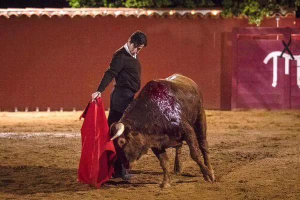tentadero