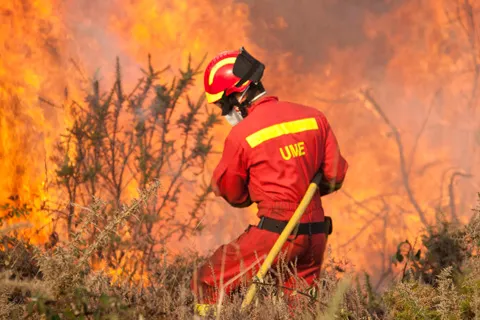 UME FUEGO