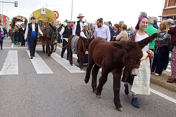 ROMERIA DE SAN FROILAN